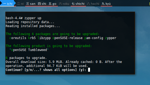 Docker Zypper: Update