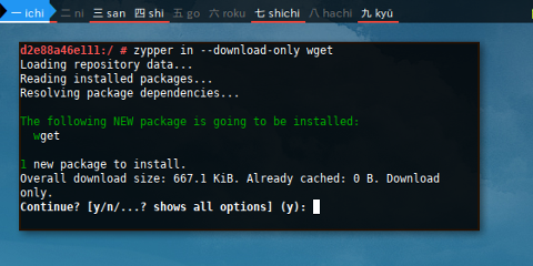 Docker Zypper: Download Only