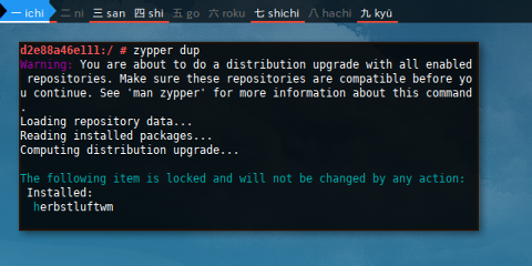 Docker Zypper: dup locked