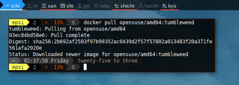 Docker Pull openSUSE Tumbleweed