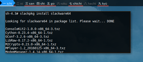 Docker Slackware: Populate Slackware64