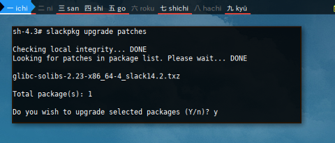 Docker Slackware: Upgrade Patches