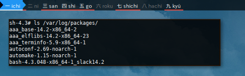Docker Slackware: /var/log/packages