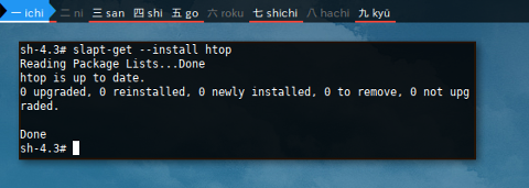 Docker slapt-get: Install htop