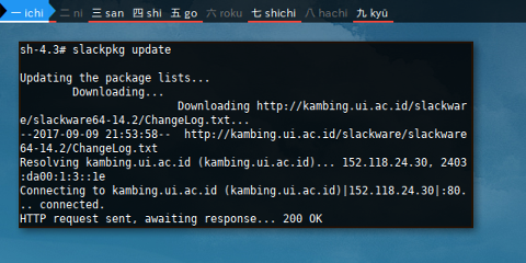 Docker Slackware: Update Use Kambing