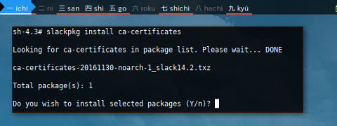 Docker slackpkg: CA Certificates
