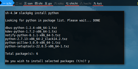 Docker slackpkg: Install Python