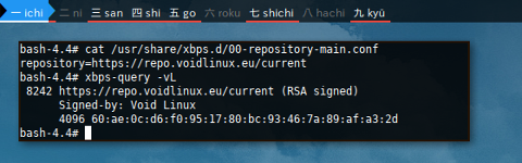 Docker XBPS: Repository: Install