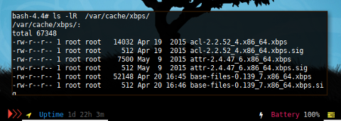 Docker XBPS: Cache