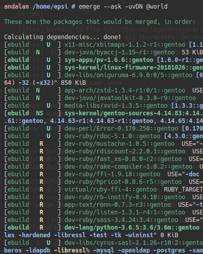 Portage: emerge -uvDN @world