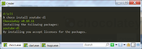 Windows cmder: choco install youtube-dl