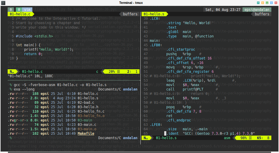 Terminal for Dummies